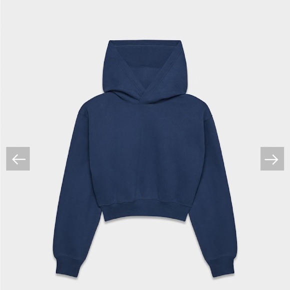 Aritzia Golden Fleece Cozy Blue Cropped Hoodie - Picture 5 of 7